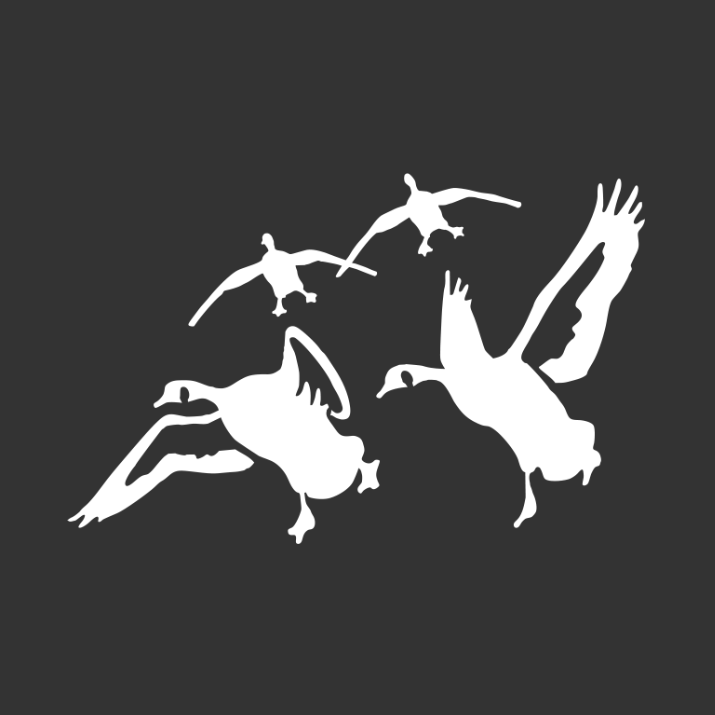 Details about   Canada Geese From the Front Hunting Decal Canadian Geese from the Front 