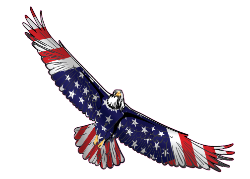 Patriotic Eagle Decal